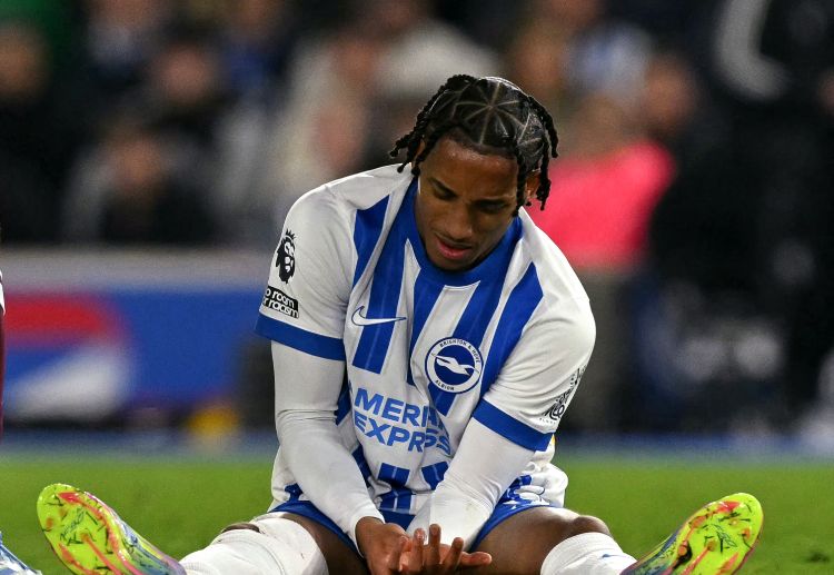 Taruhan Premier League: Brighton & Hove Albion vs Newcastle United